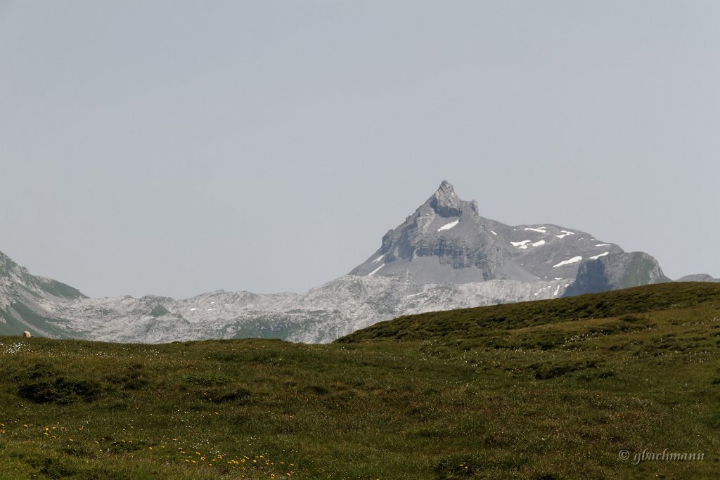 20130803_110